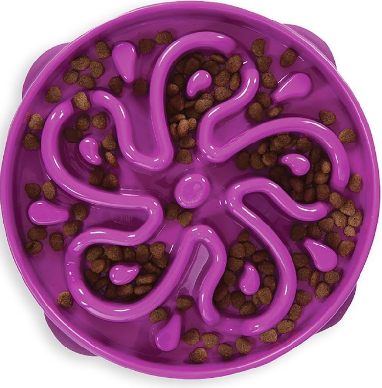 Outward Hound Fun Feeder Slo Bowl Dog Slow Feeder, Flower, Purple, 11.8"